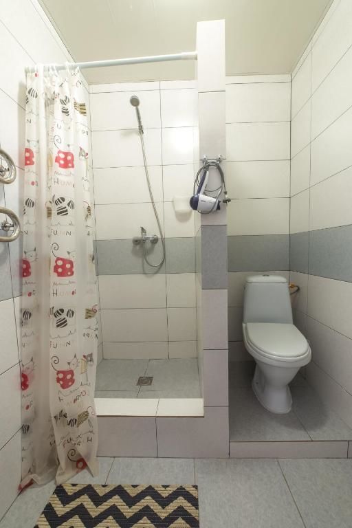 Апарт-отели Villa ZHANNA Central park Трускавец